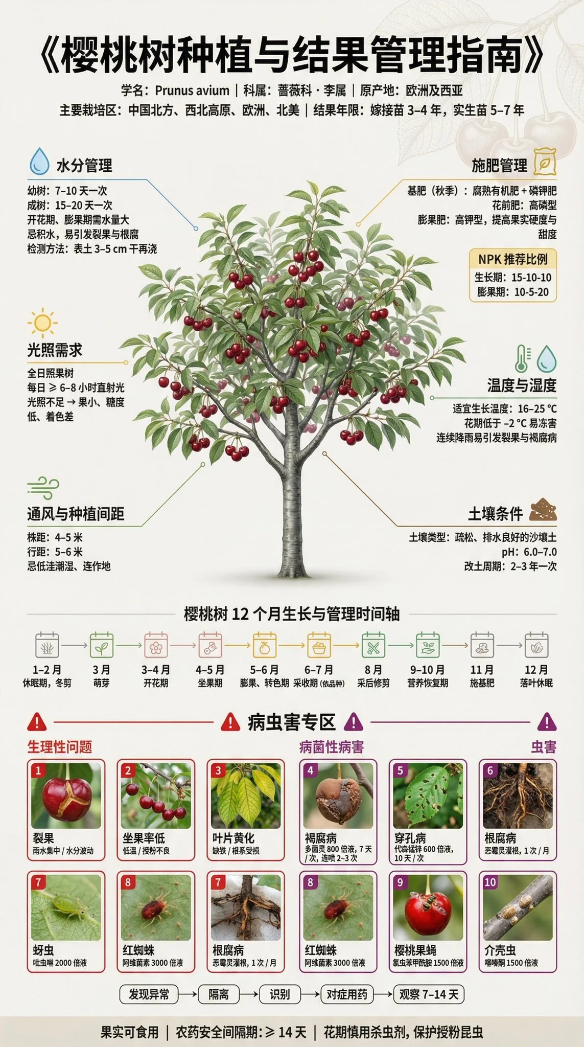 prompt seen Premium AI Prompt: Fruit Tree Planting Science Exhibition Board ai photo 4