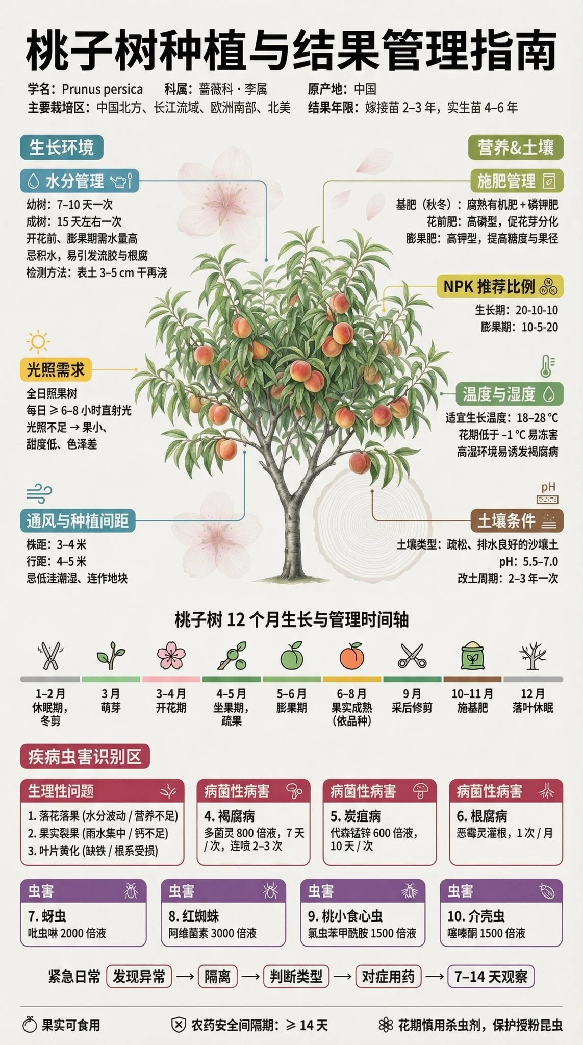 prompt seen Premium AI Prompt: Fruit Tree Planting Science Exhibition Board ai photo 2